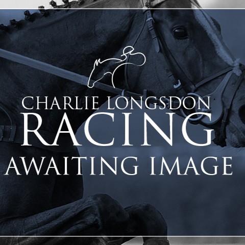 ARE YOU JOKING 2021 B G